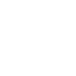 ShopIcon